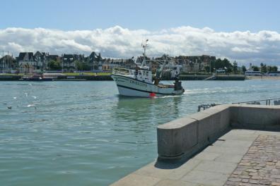 Fischerboot läuft in den Hafen von von Trouville-sur-Mer ein